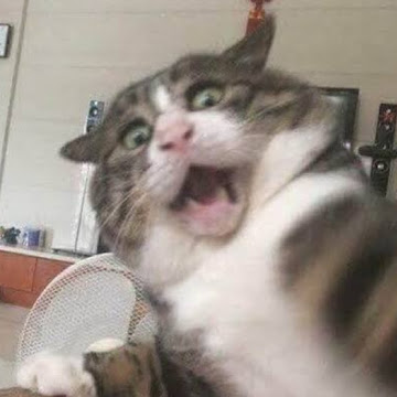 Profile photo of 39Trithara เกิดเเก้ว