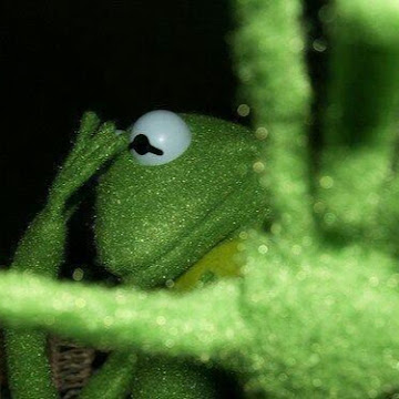 Profile photo of พิมพ์ลภัส สุจิตรา