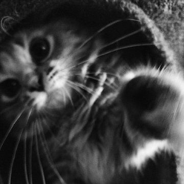 Profile photo of บุญฑิวรรณ มาอุด