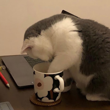 Profile photo of สดุดี คชเถื่อน