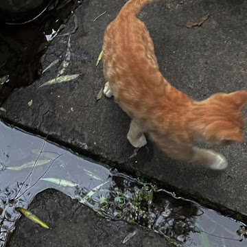 Profile photo of luvpor