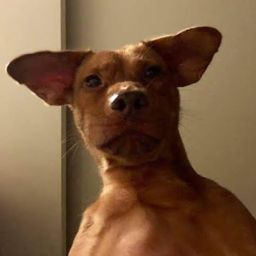 Profile photo of กฤตภาส โยคำ