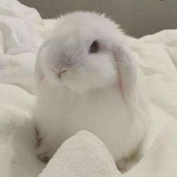 Profile photo of น.ส.ภัทรธิดา บุญเปี่ยม