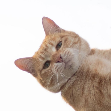 Profile photo of สิริขวัญชนก ไชยเชษฐ์