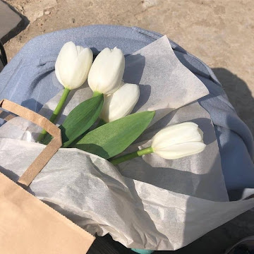 Profile photo of สิรินีย์ เธียรโชติ