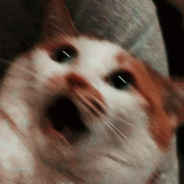 Profile photo of ณัฐฌา หนูทอง