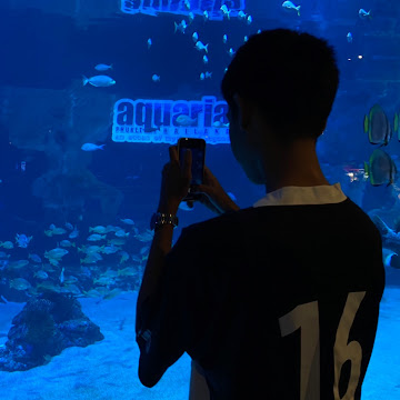 Profile photo of Natthaphat Rabamdee