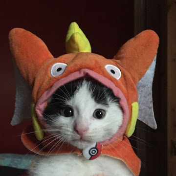 Profile photo of โชติกา จิตรใคร่ครวญ