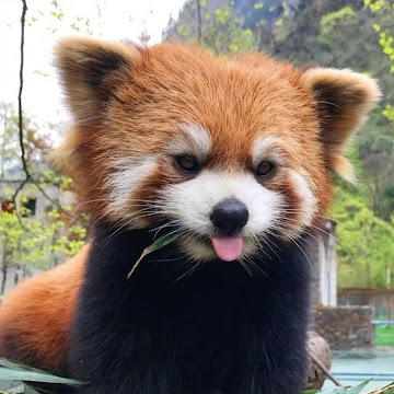 Profile photo of 27_รัตนาวดี อินทร์มา