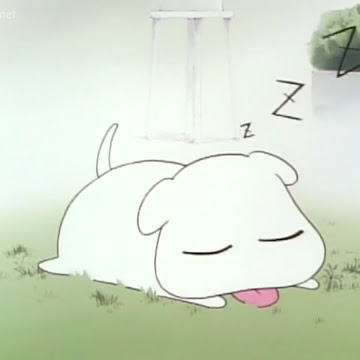 Profile photo of กัญญาภัค ก่อวาณิชกุล