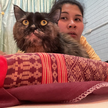 Profile photo of pattiya tongroung