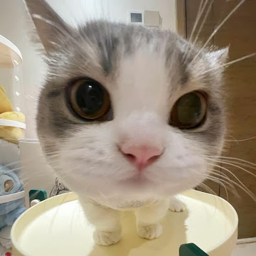 Profile photo of วรรณิดา ปู่เดือน