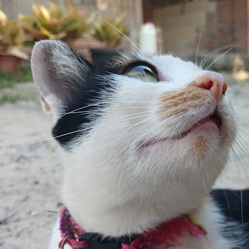 Profile photo of สิรินทรา มูลมั่ง