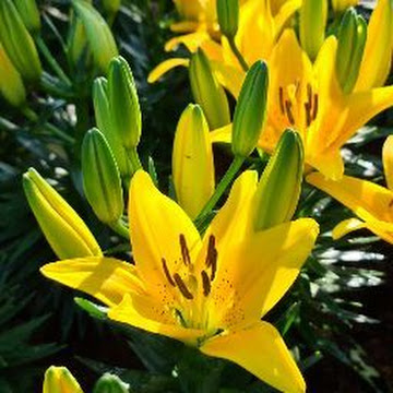 Profile photo of สงกรานต์ รัตนแสงศร