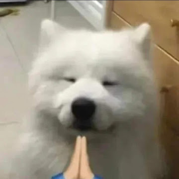 Profile photo of เมธาดล ทองจันดี