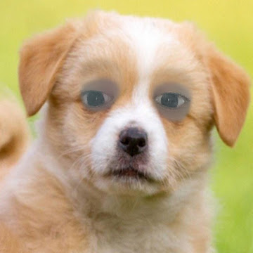 Profile photo of Panjapon Bunparit